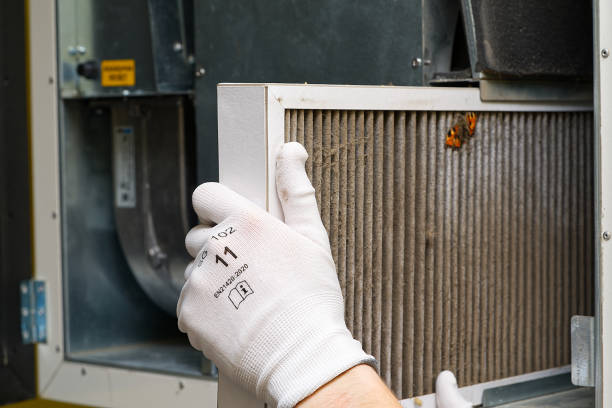 Best Air Duct Cleaning Near Me  in Port Barre, LA